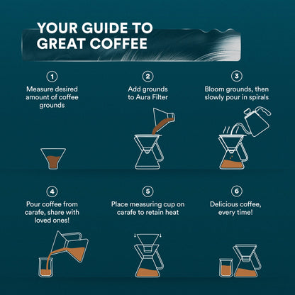 17oz Pour Over Coffee Maker with 304 Stainless Steel Filter
